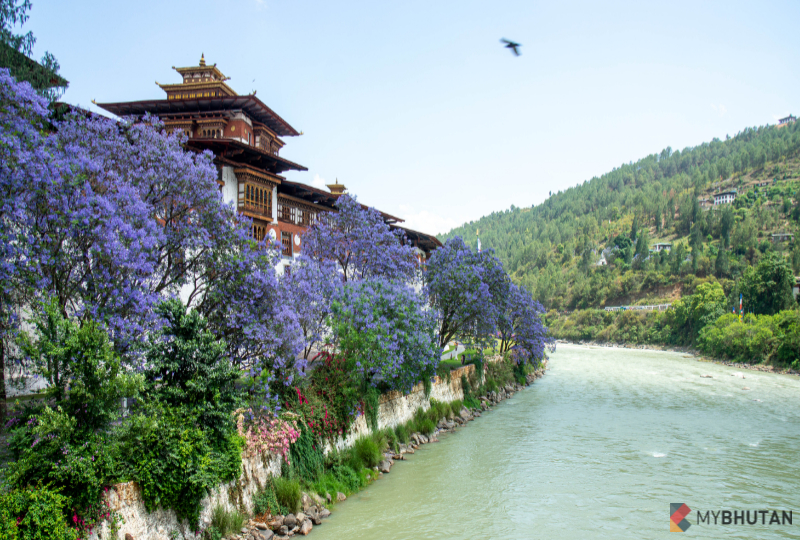 10 Days 9 Nights The Kingdom of Bhutan Tour